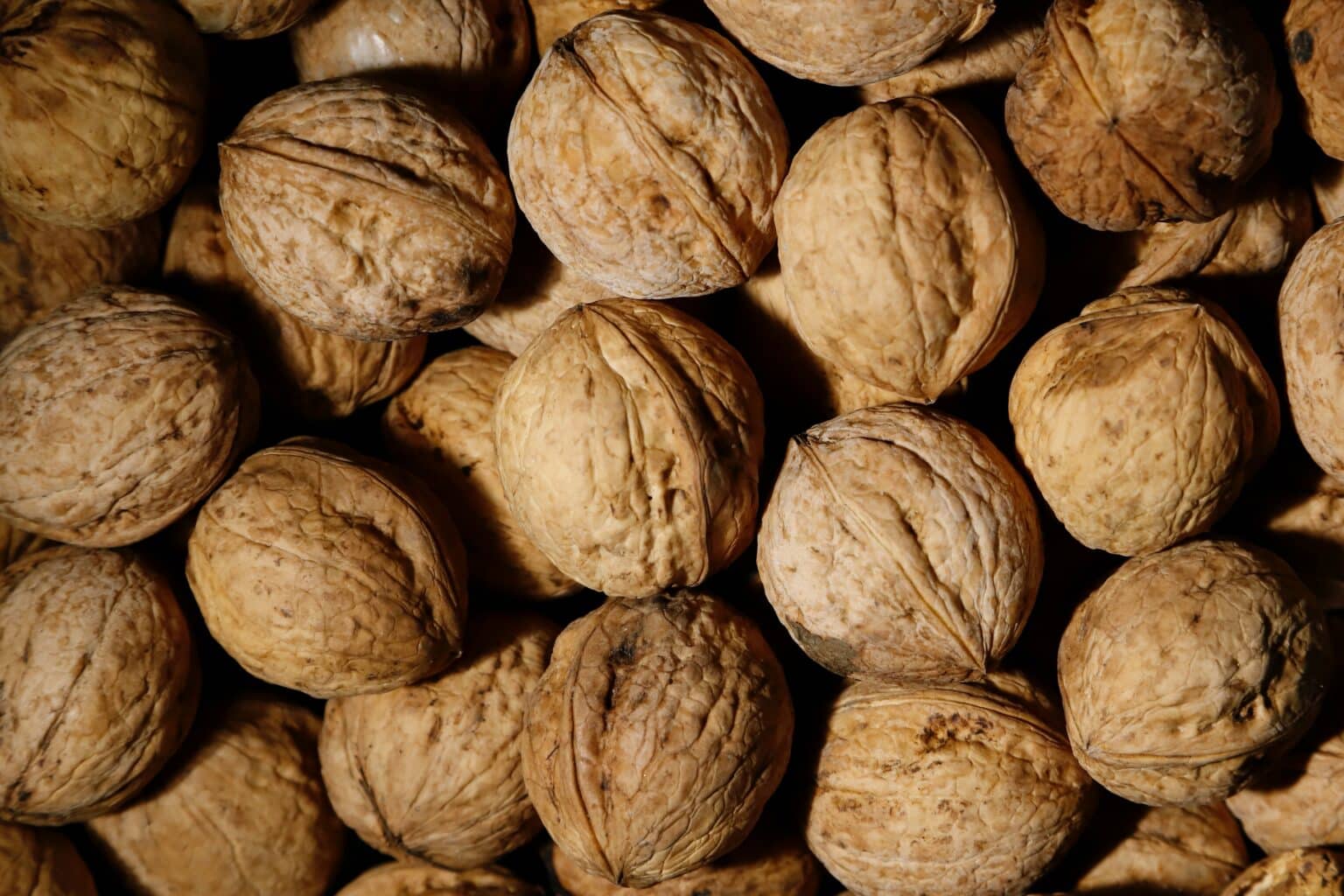 Peut-on composter les coques de noix ?