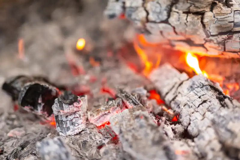 Peut-on mettre de la cendre dans le compost ?